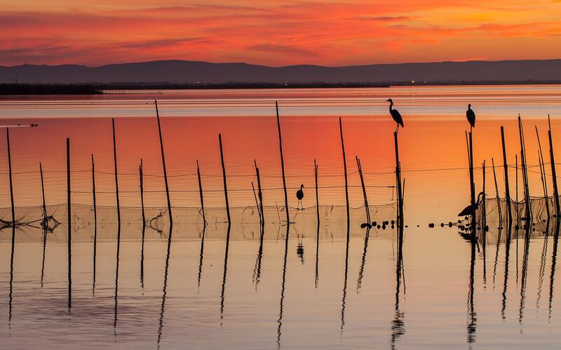 Zonsondergang boven de lagune van de Albufera bij Valencia met houten palen in het water