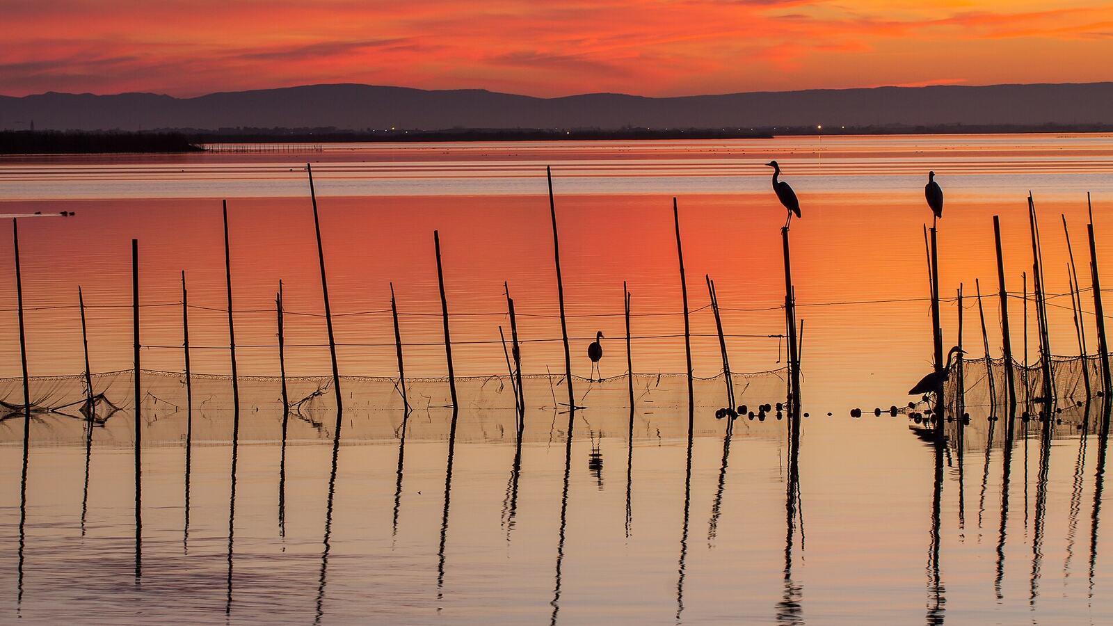 Zonsondergang boven de lagune van de Albufera bij Valencia met houten palen in het water