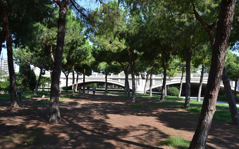 Wandelpad in het Turia-park in Valencia met bomen en een brug