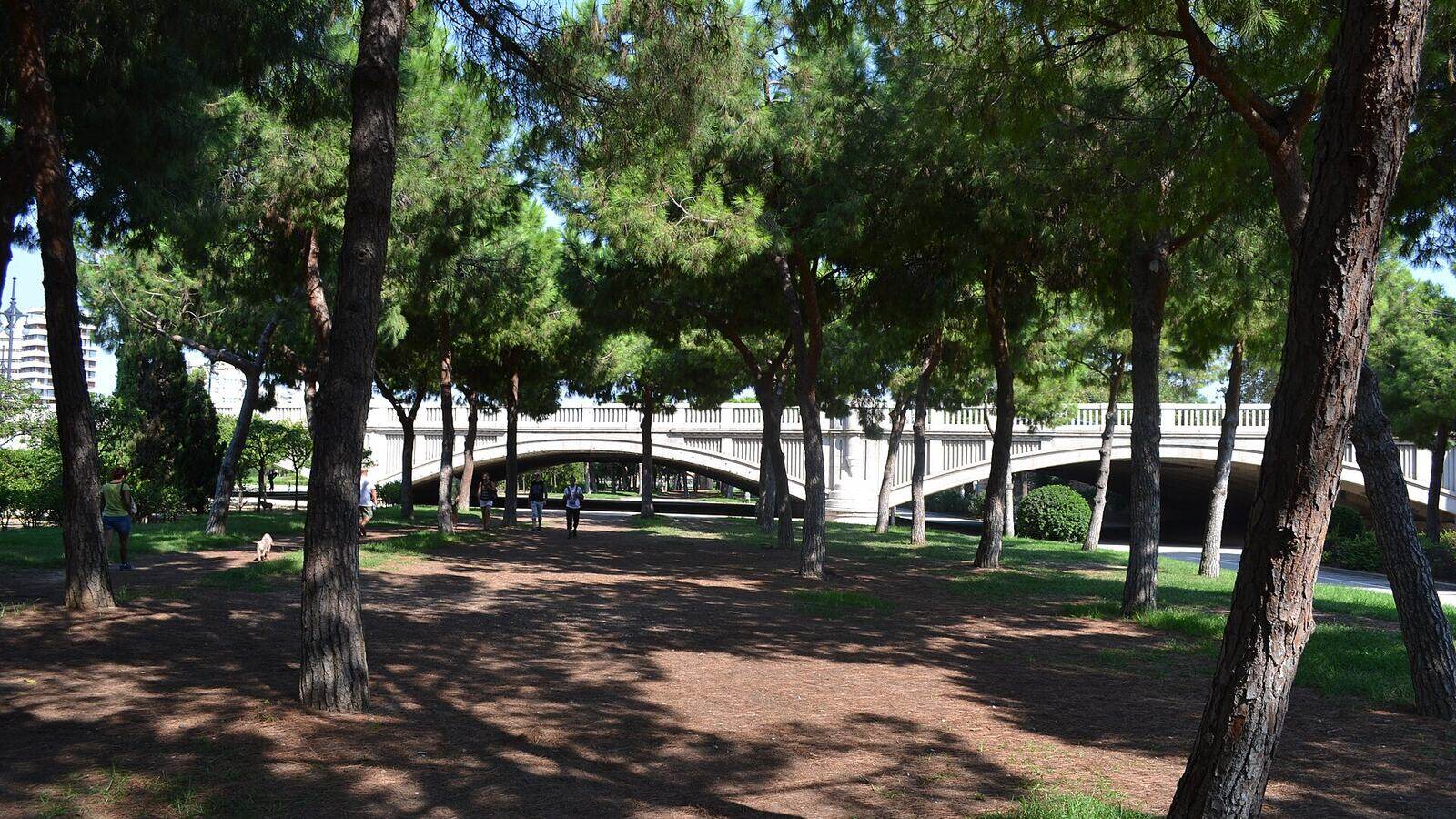 Wandelpad in het Turia-park in Valencia met bomen en een brug